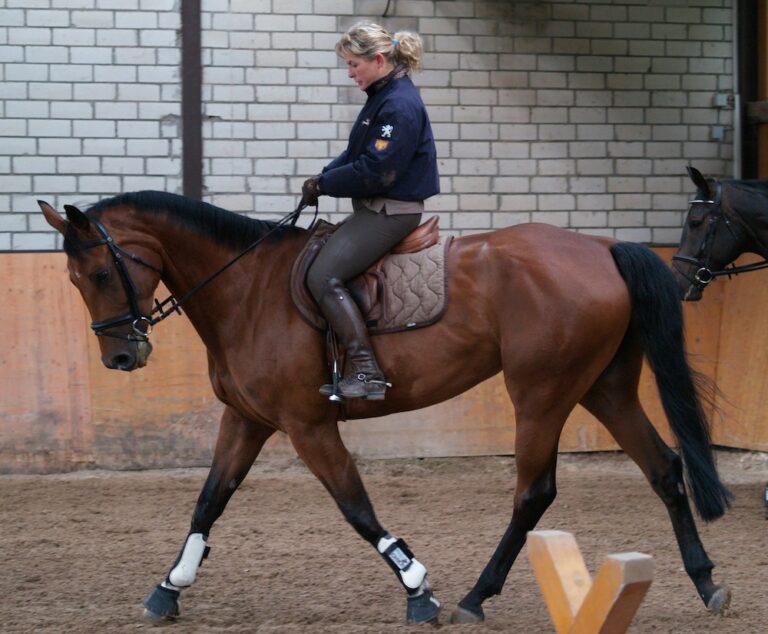 PALO Jäger – die tierisch gute Therapie | Anna-Maria Jäger beim Reiten